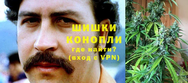твердый Дмитровск