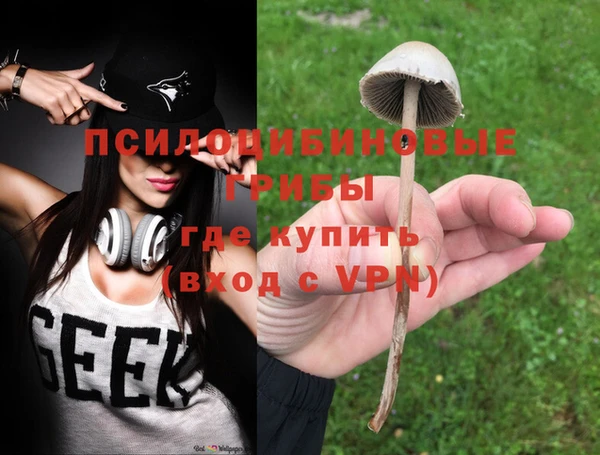 кокс Дмитриев