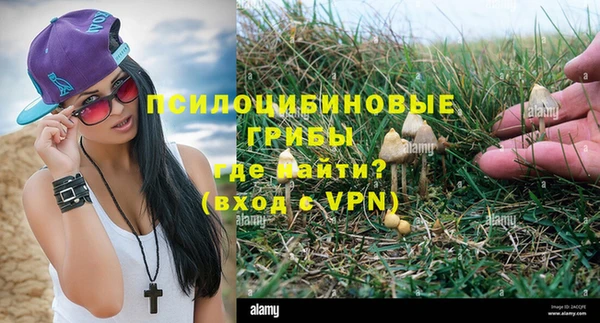 гидропоника Дмитров