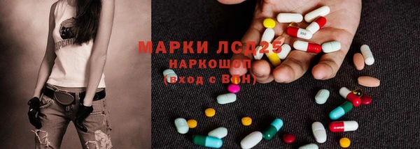 хмурый Гусь-Хрустальный