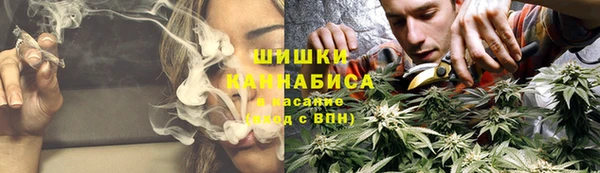 кокс Дмитриев