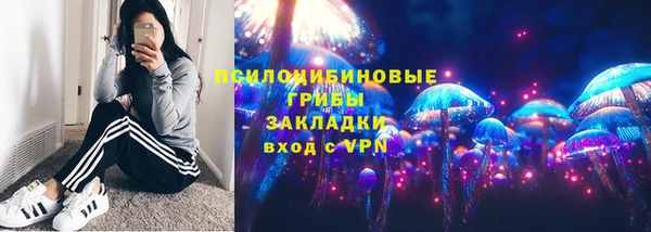 твердый Дмитровск